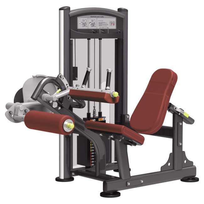 Сгибание ног сидя AeroFit IT9306 Сгибание ног сидя AeroFit IT9306