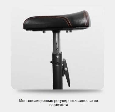 Скамья Скотта BRONZE GYM BR-1007 Скамья Скотта BRONZE GYM BR-1007