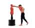 Манекен для бокса DFC Boxing Punching Man-Heavy TLS-B без регулировки Манекен для бокса DFC Boxing Punching Man-Heavy TLS-B без регулировки