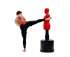 Манекен для бокса DFC Boxing Punching Man-Medium TLS-BR (красный) без регулировки Манекен для бокса DFC Boxing Punching Man-Medium TLS-BR (красный) без регулировки